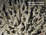 raindrops excavated coral structure