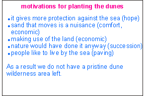 Motivations to plant