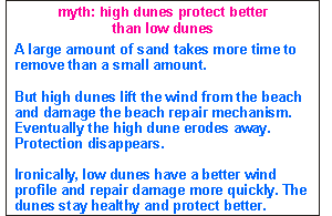 Tall dunes protect better?
