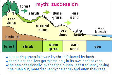 The myth of succession