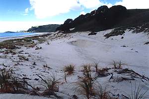 Sand mining at Pakiri Beach