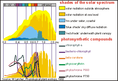 img: shades of solar radiation