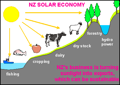 New economy is. New Zealand economy. Economy in New Zealand. Main economy in New Zealand. New economy.