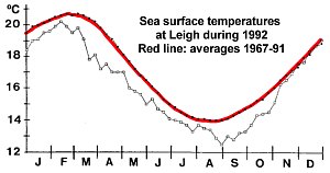 Sea temperatures 1992 at Leigh