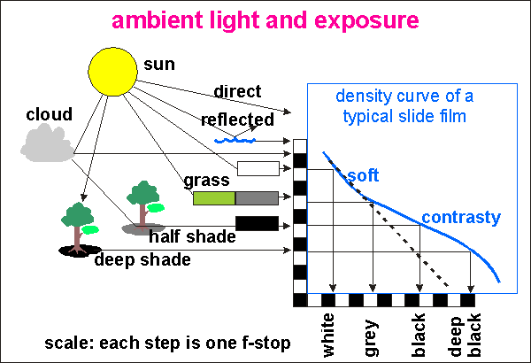 film density/exposure curve