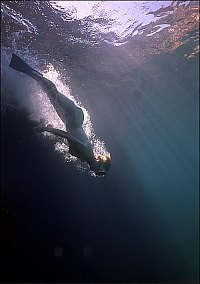 f023719: Snorkeldiver plunging into the sun-lit sea
