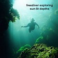 diver in sun-lit depths