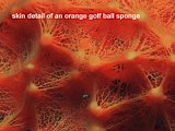 skin detail of orange golf ball sponge