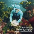 a snorkeldiver has found complete paper nautilus shells